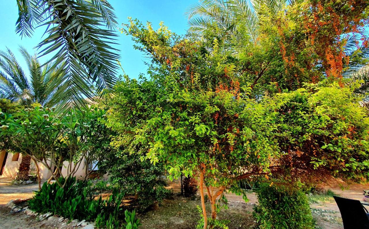 Hotel Sekhmet Retreat Centre Luxor Exteriér fotografie