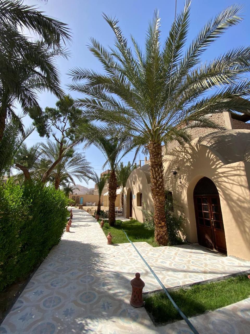 Hotel Sekhmet Retreat Centre Luxor Exteriér fotografie